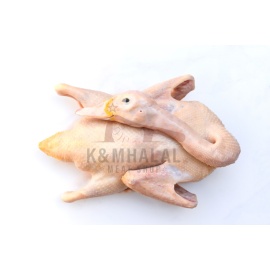 Duck meat