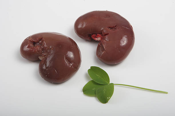 Lamb lamb kidney