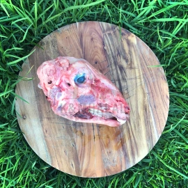 lamb head