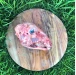 lamb head