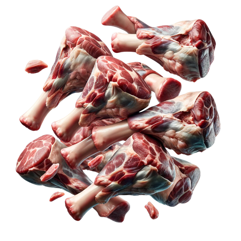 muttonlegs