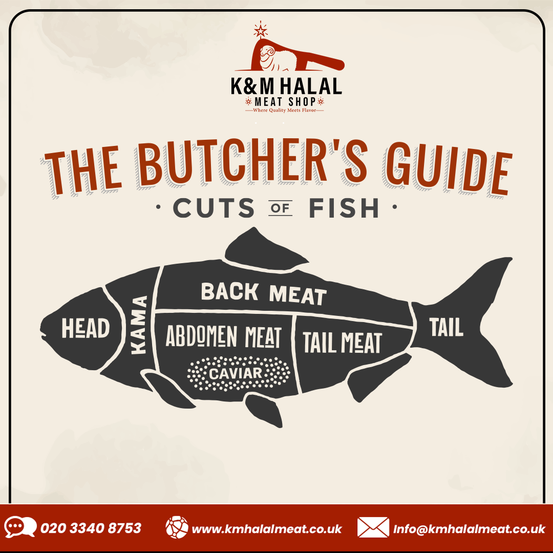 The-Butcher's-Guide--Cuts-of-Fish